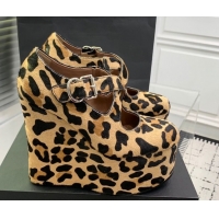 Best Price Maison Alaia Criss Cross Wedge Pumps 14.5cm in Leopard Haircalf Brown 0219010