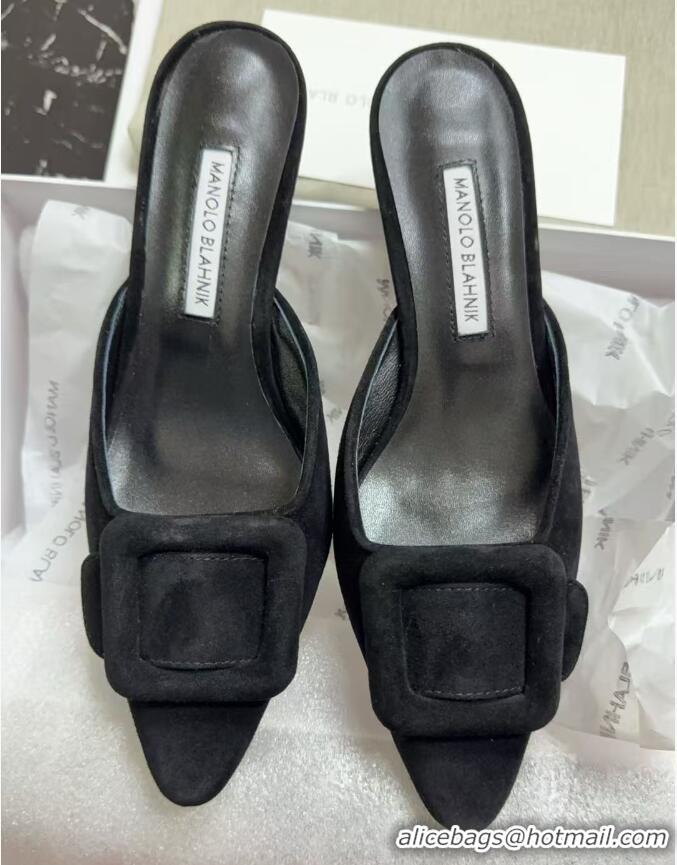 ​New Fashion Manolo Blahnik Maysale 70 Buckle Suede Mules MB8974 Black