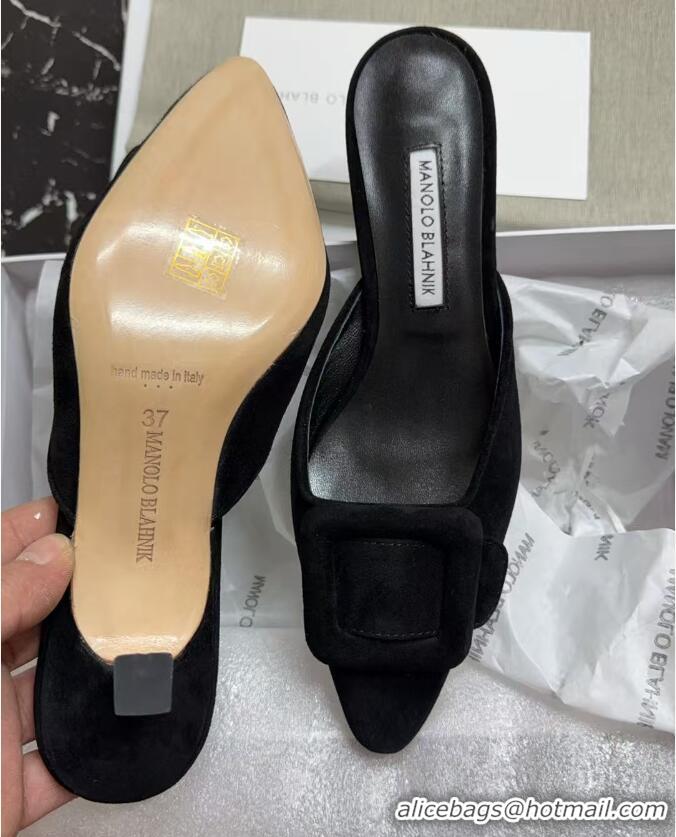 ​New Fashion Manolo Blahnik Maysale 70 Buckle Suede Mules MB8974 Black