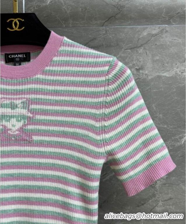 Super Quality Chanel Cashmere Blend Striped Knit Top 0729 Pink 2025