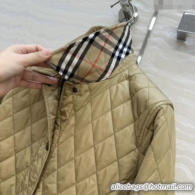 Grade Quality Burberry Mid-Length Padded Jacket B090403 Brown 2025