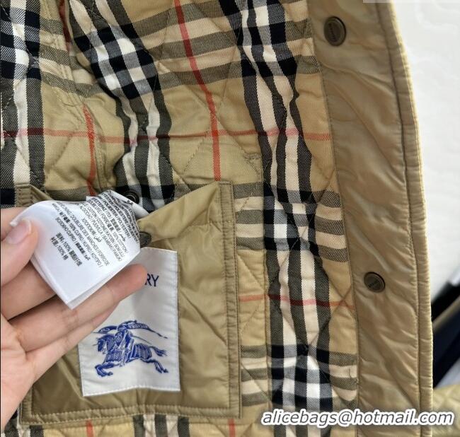Grade Quality Burberry Mid-Length Padded Jacket B090403 Brown 2025