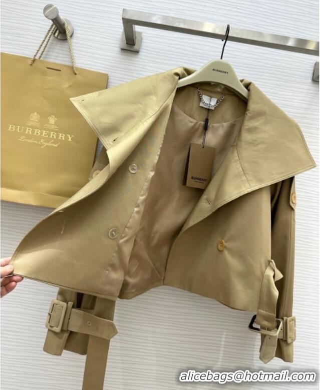 Buy New Cheap Burberry Short Jacket B91612 Brown 2025