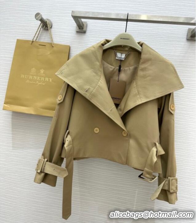 Buy New Cheap Burberry Short Jacket B91612 Brown 2025