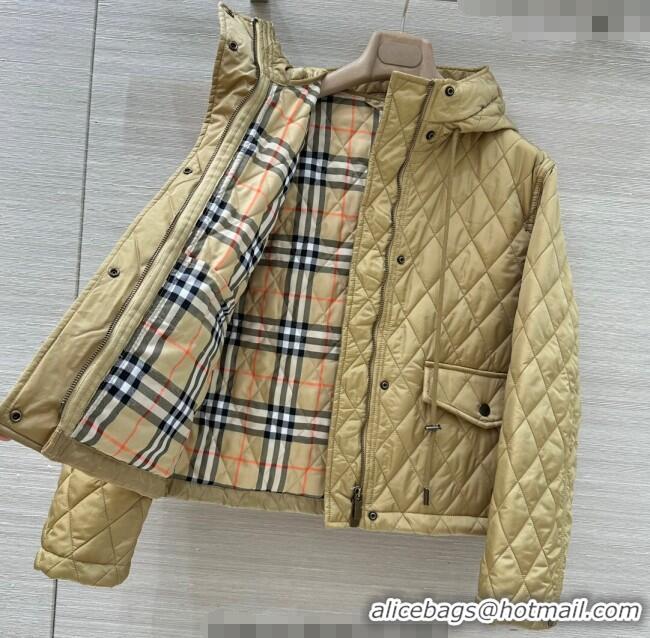 Buy Classic Burgundy Quilted and Padded Cotton Jacket BR091901 Khaki 2025