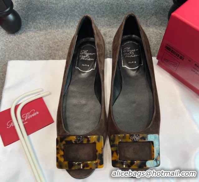 Luxury Roger Vivier Trompette Ballerinas in Suede with Buckle Dark Brown 1030068
