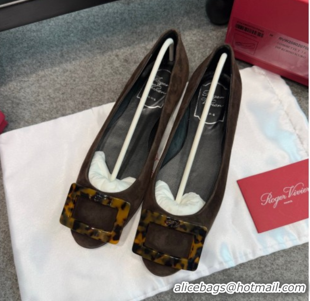 Luxury Roger Vivier Trompette Ballerinas in Suede with Buckle Dark Brown 1030068