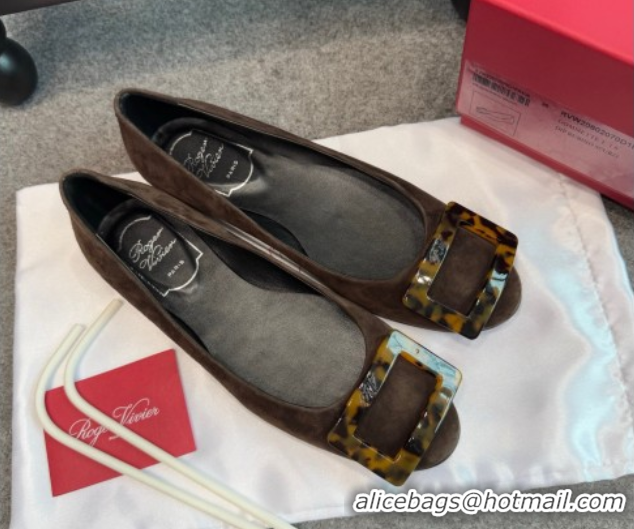 Luxury Roger Vivier Trompette Ballerinas in Suede with Buckle Dark Brown 1030068
