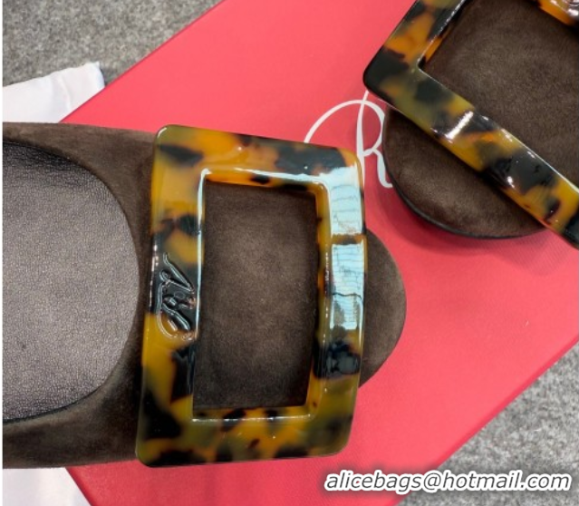Luxury Roger Vivier Trompette Ballerinas in Suede with Buckle Dark Brown 1030068