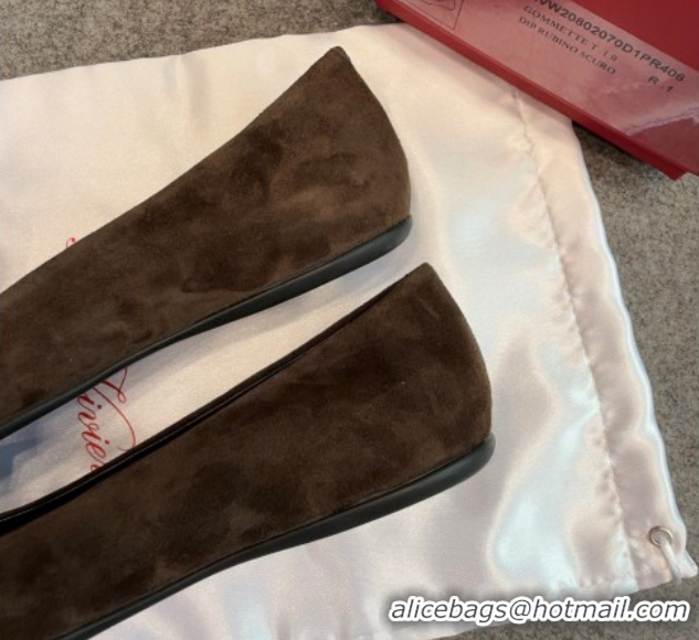Luxury Roger Vivier Trompette Ballerinas in Suede with Buckle Dark Brown 1030068