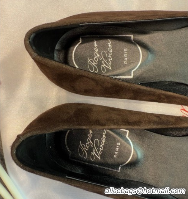 Luxury Roger Vivier Trompette Ballerinas in Suede with Buckle Dark Brown 1030068