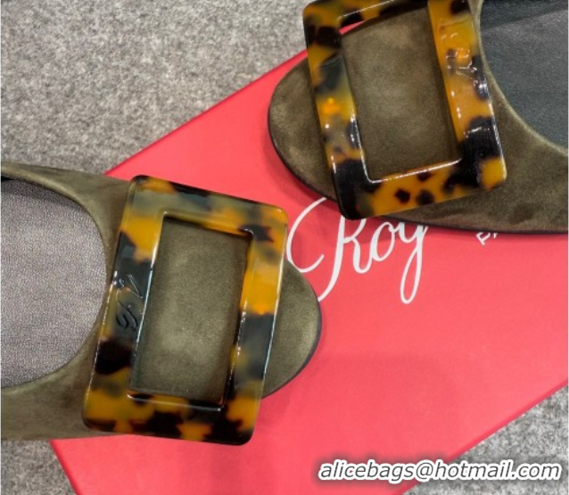 Good Quality Roger Vivier Trompette Ballerinas in Suede with Buckle Green 1030070