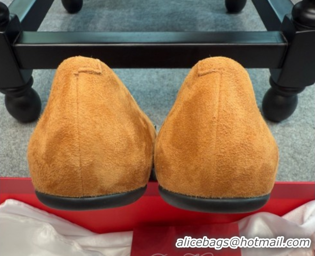 Unique Style Roger Vivier Trompette Ballerinas in Suede with Buckle Camel 1030071