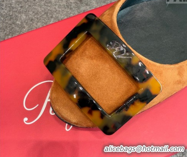 Unique Style Roger Vivier Trompette Ballerinas in Suede with Buckle Camel 1030071