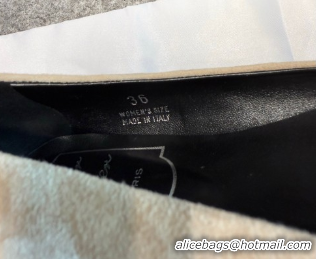 Luxurious Roger Vivier Trompette Ballerinas in Suede with Buckle Beige 1030073