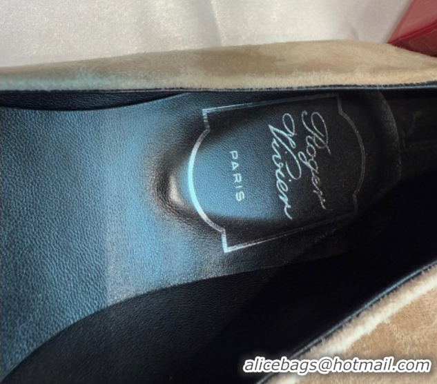 Luxurious Roger Vivier Trompette Ballerinas in Suede with Buckle Beige 1030073
