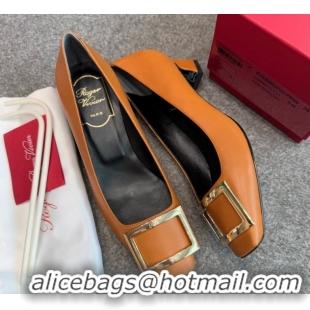 Popular Style Roger Vivier Trompette Pumps 4.5cm in Calf Leather with Buckle Brown 1030075