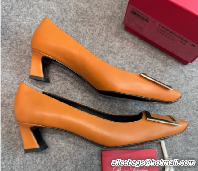 Popular Style Roger Vivier Trompette Pumps 4.5cm in Calf Leather with Buckle Brown 1030075