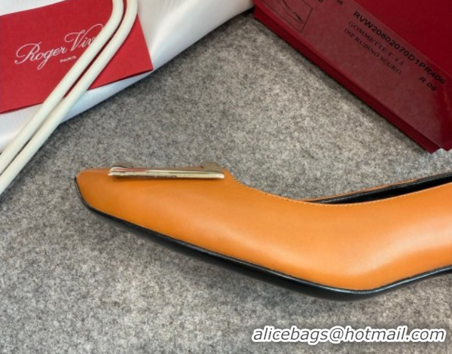 Popular Style Roger Vivier Trompette Pumps 4.5cm in Calf Leather with Buckle Brown 1030075