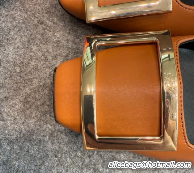 Popular Style Roger Vivier Trompette Pumps 4.5cm in Calf Leather with Buckle Brown 1030075