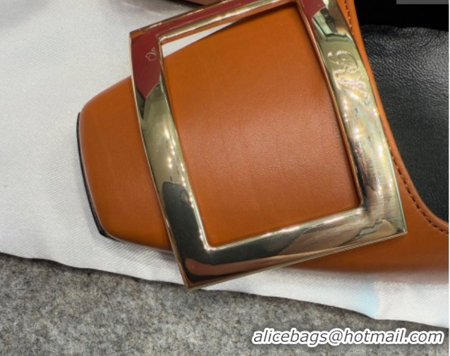 Most Popular Roger Vivier Trompette Pumps 7cm in Calf Leather with Buckle Brown 1030082