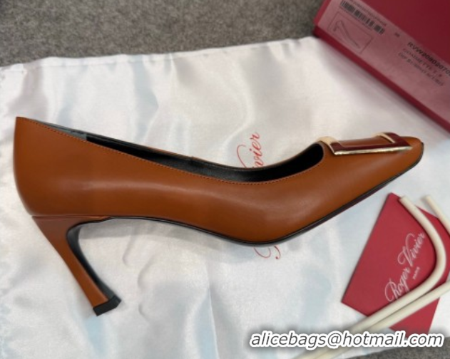 Most Popular Roger Vivier Trompette Pumps 7cm in Calf Leather with Buckle Brown 1030082