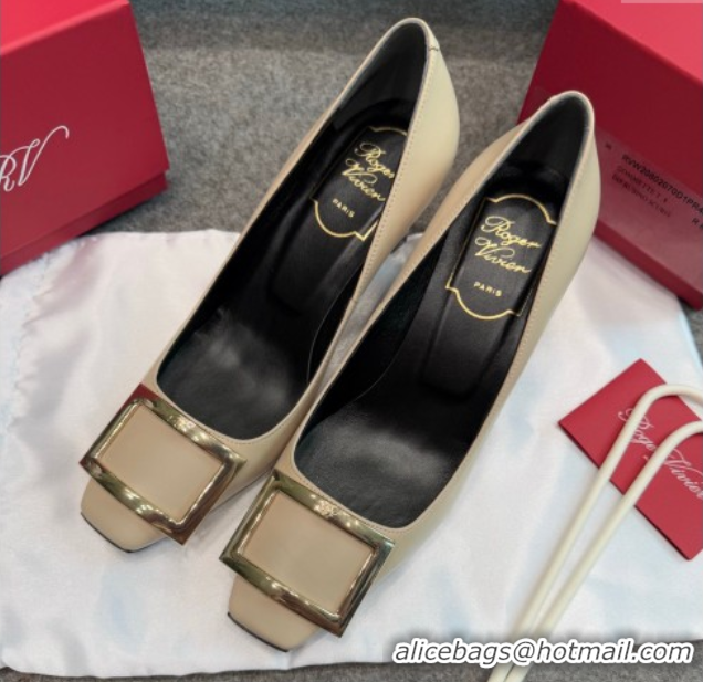 Durable Roger Vivier Trompette Pumps 7cm in Calf Leather with Buckle Grey 1030083