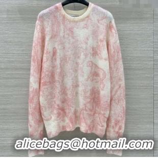 Traditional Specials Dior Mohair & Wool Sweater D82108 Pink 2025