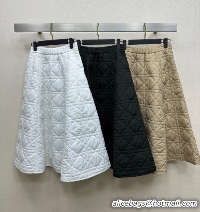 Reasonable Price Dior Oblique Long Skirt DR090404 White 2025