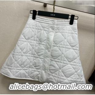 Traditional Specials Dior Oblique Mini Skirt DR090404 White 2025