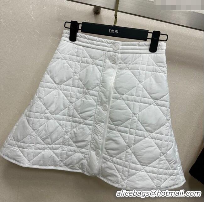 Traditional Specials Dior Oblique Mini Skirt DR090404 White 2025