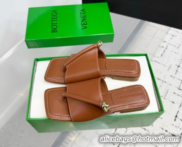 Best Price Bottega Veneta Solstice Flat Thong Slides Sandal in Calfskin Leather Brown 0823063