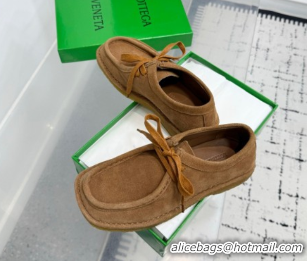 Good Looking Bottega Veneta Daddy Lace-Up Shoes in Suede Brown 0823065