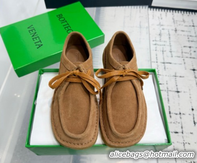 Good Looking Bottega Veneta Daddy Lace-Up Shoes in Suede Brown 0823065