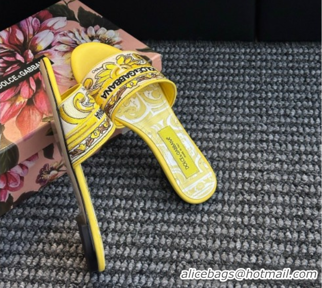 Good Product Dolce & Gabbana Flat Sliders Sandal in Majolica Embroidery Yellow 0825138