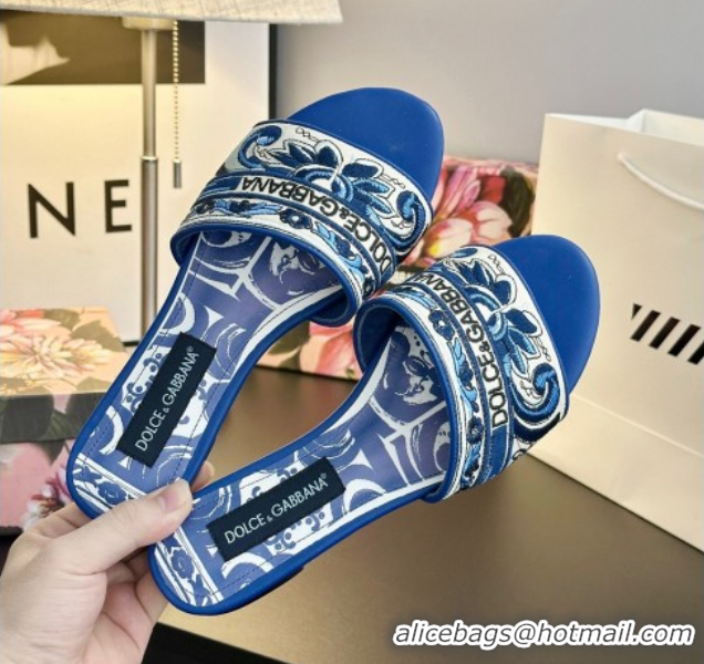 Best Product Dolce & Gabbana Flat Sliders Sandal in Majolica Embroidery Blue 0825140