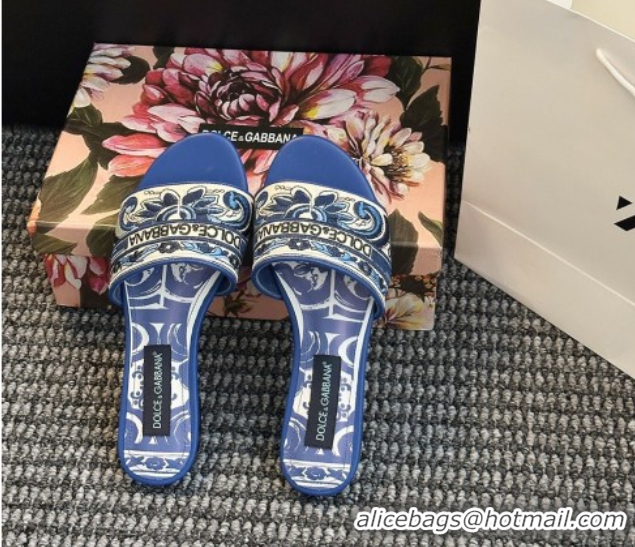 Best Product Dolce & Gabbana Flat Sliders Sandal in Majolica Embroidery Blue 0825140