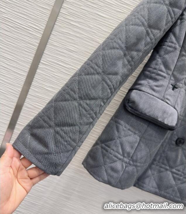 Buy Discount Dior Oblique Padded Jacket and Skirt DR110641 Grey 2025
