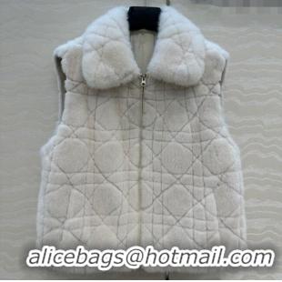 Famous Brand Dior Mink Fur and Sheepskin Leather Vest DR110503 White 2025