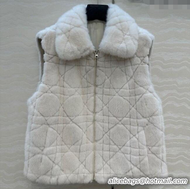 Famous Brand Dior Mink Fur and Sheepskin Leather Vest DR110503 White 2025