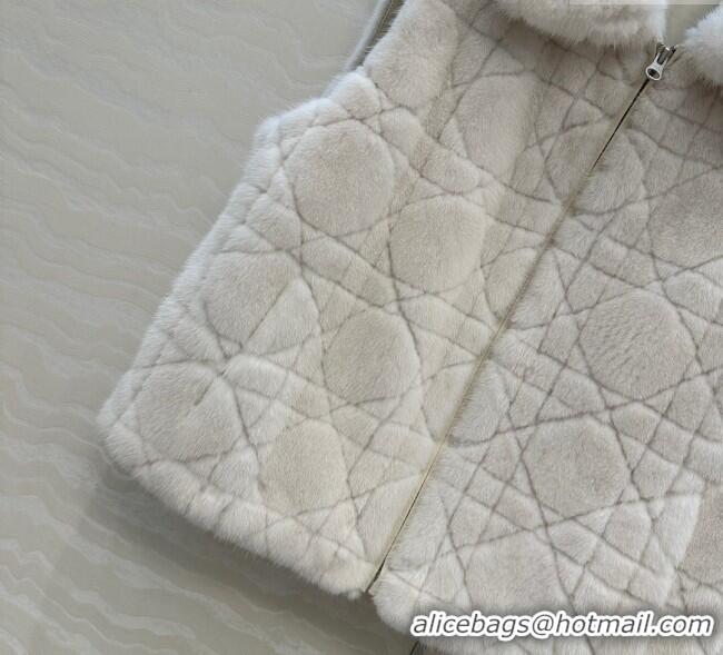 Famous Brand Dior Mink Fur and Sheepskin Leather Vest DR110503 White 2025