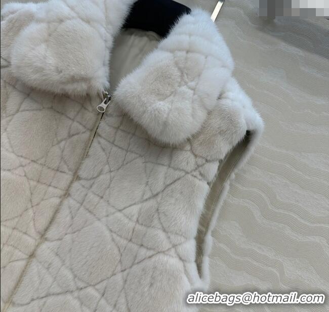 Famous Brand Dior Mink Fur and Sheepskin Leather Vest DR110503 White 2025