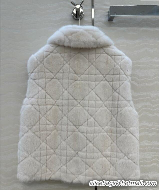 Famous Brand Dior Mink Fur and Sheepskin Leather Vest DR110503 White 2025