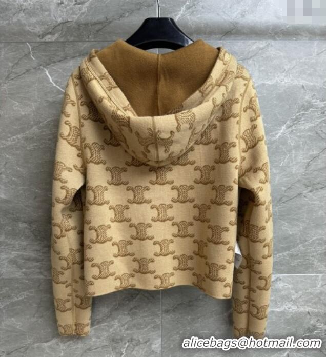 ​Top Grade Celine Wool Zipped Cardigan C91703 Brown 2025