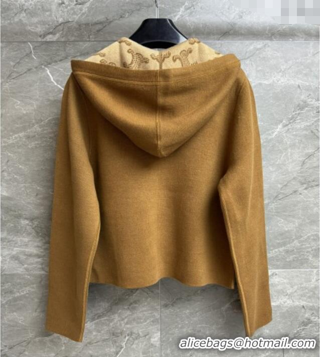 ​Top Grade Celine Wool Zipped Cardigan C91703 Brown 2025