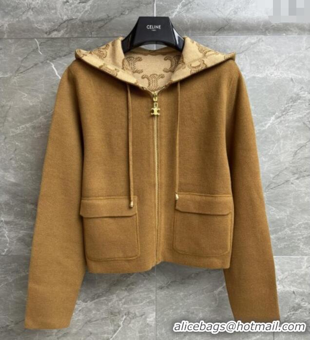 ​Top Grade Celine Wool Zipped Cardigan C91703 Brown 2025