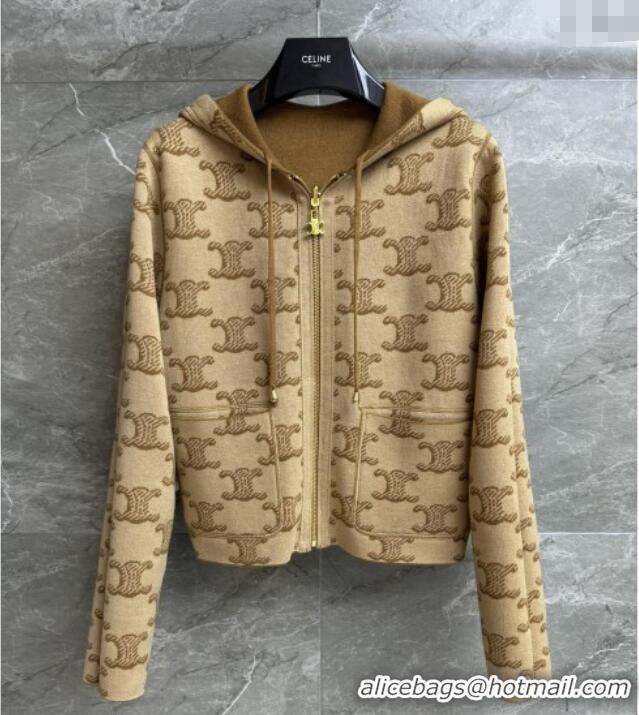 ​Top Grade Celine Wool Zipped Cardigan C91703 Brown 2025