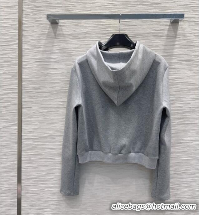 Affordable Price Celine Hoodie and Pants C101713 Grey 2025