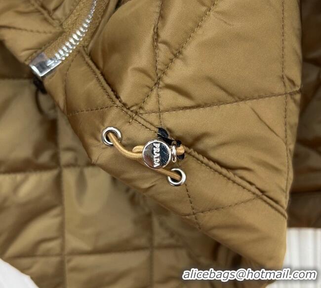 Luxury Discount Prada Quilted Cotton-Padded Jacket Brandy PR091963 Brown 2025