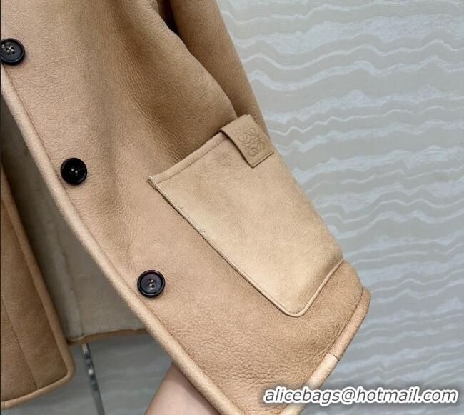 Grade Promotional Loewe Leather and Shearling Jacket 1014 Brown 2025
